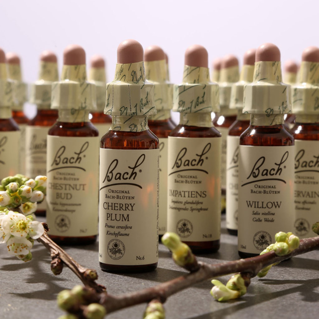 Bach_blutentherapie